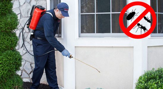 Evka 4 Kemirgen İlaçlama böcek ilaçlama ve haşere kontrolü — ilaclama-tr.com